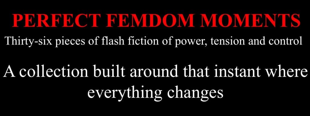 Bestselling femdom fiction
